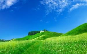 Dream home on the green hillside wallpaper thumb