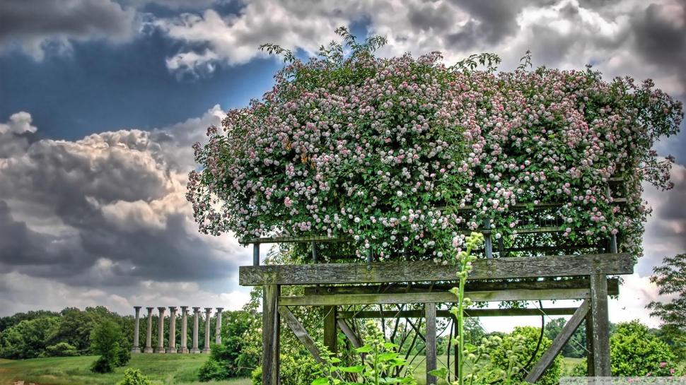 Flower Box In An Ancient Site Hdr wallpaper,ruins HD wallpaper,flowers HD wallpaper,clouds HD wallpaper,nature & landscapes HD wallpaper,1920x1080 wallpaper