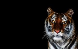Digital Tiger wallpaper thumb