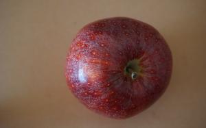 Apple fruit wallpaper thumb