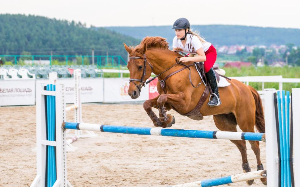 Girl on horse, sport wallpaper,girl HD wallpaper,horse HD wallpaper,sport HD wallpaper,2560x1600 wallpaper