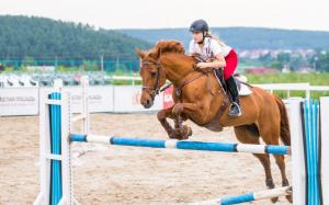 Girl on horse, sport wallpaper thumb