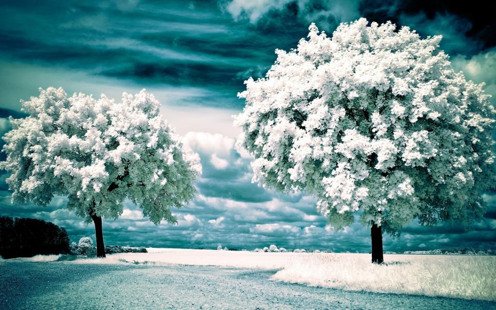 Infrared Trees Photography Nature wallpaper,infrared HD wallpaper,trees HD wallpaper,photography HD wallpaper,1920x1200 wallpaper