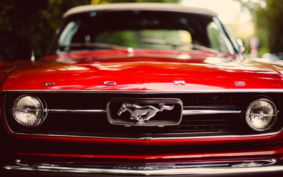 Red Ford Mustang wallpaper,ford mustang HD wallpaper,classic car HD wallpaper,2880x1800 wallpaper