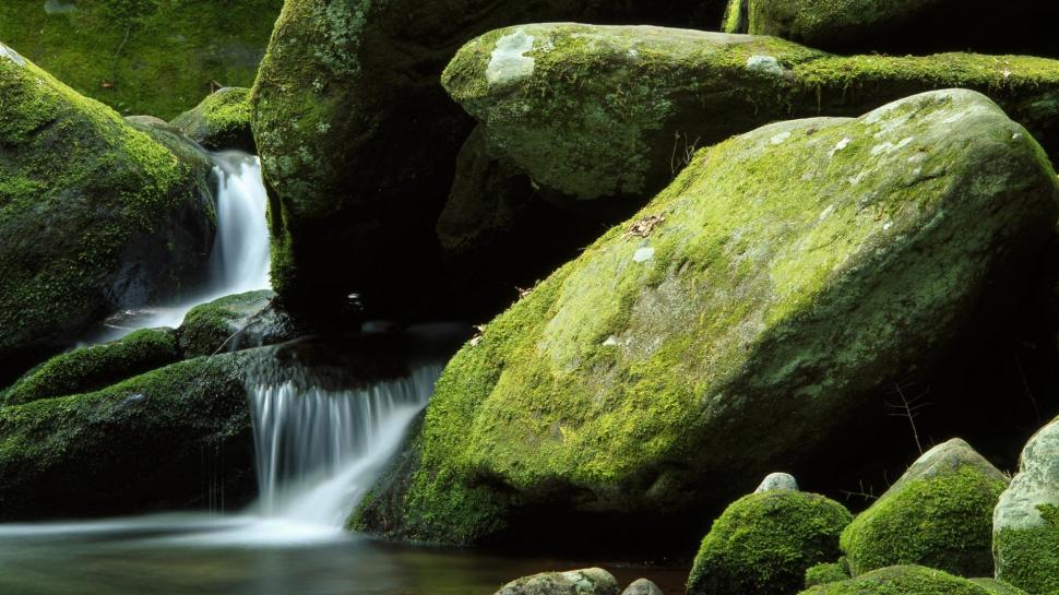 Small Waterfall And Green Rocks Wallpaper Nature And Landscape
