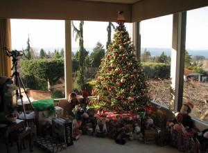christmas tree, gifts, toys, home, glass, holiday, christmas wallpaper thumb