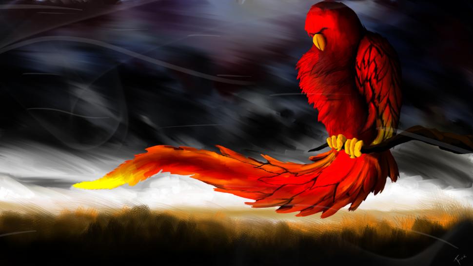 Red Parrots Paint Cool 1080p wallpaper,1080p HD wallpaper,paint cool HD wallpaper,red parrots HD wallpaper,1920x1080 wallpaper
