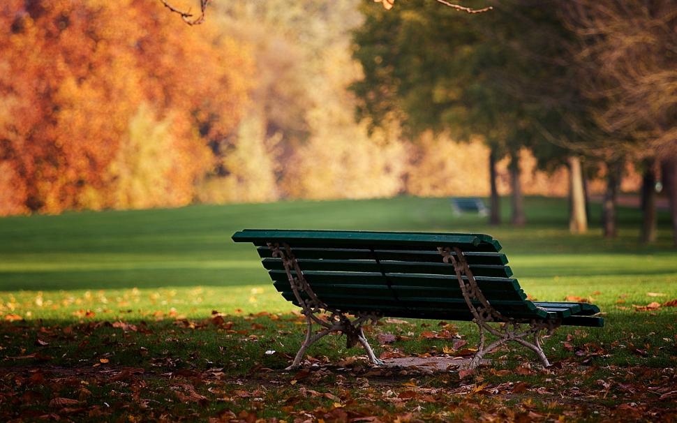 Bench Autumn Park  High Resolution Stock Images  wallpaper,bench HD wallpaper,forest HD wallpaper,garden HD wallpaper,nature HD wallpaper,park HD wallpaper,1920x1200 wallpaper