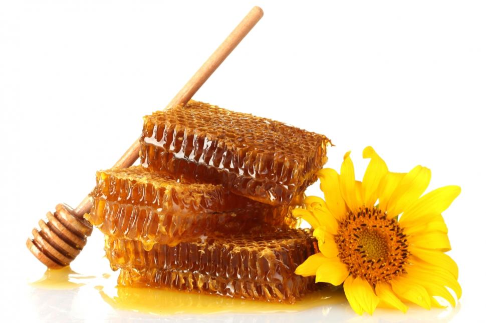 Honey And Sunflower Free Mobile Phone s wallpaper,bee wallpaper,honey wallpaper,sweet wallpaper,yellow wallpaper,1440x960 wallpaper