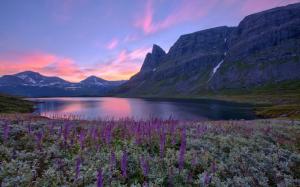 Norway nature scenery, lake, mountains, flowers, sunrise wallpaper thumb