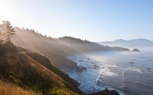Morning coast, mountains, trees, sea, fog, sunlight wallpaper thumb