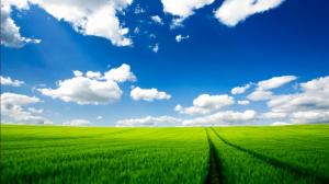 Landscape, Field, Green Field, Spring, Sky, Clouds wallpaper thumb