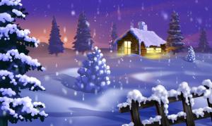 christmas trees, night, home, lights, holiday, new year wallpaper thumb