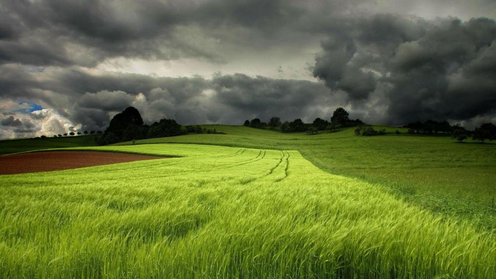 Storm Clouds Over a Green Field wallpaper,Scenery HD wallpaper,1920x1080 wallpaper