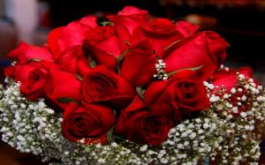Red Roses For Onia wallpaper thumb
