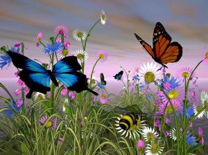 beautiful butterflies 3d Animals butterfly color nature spring HD wallpaper thumb