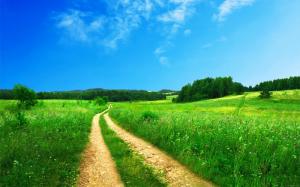 Landscape with dirt road wallpaper thumb