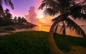 Florida, Beach, Palm Trees, Sunset, Sea, Sky, Landscape, Nature wallpaper thumb