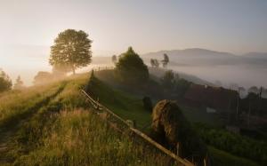 Carpathian mountains, trees, countryside, morning, fog, summer wallpaper thumb