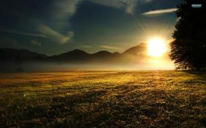 Sunrise Over The Meadow wallpaper thumb