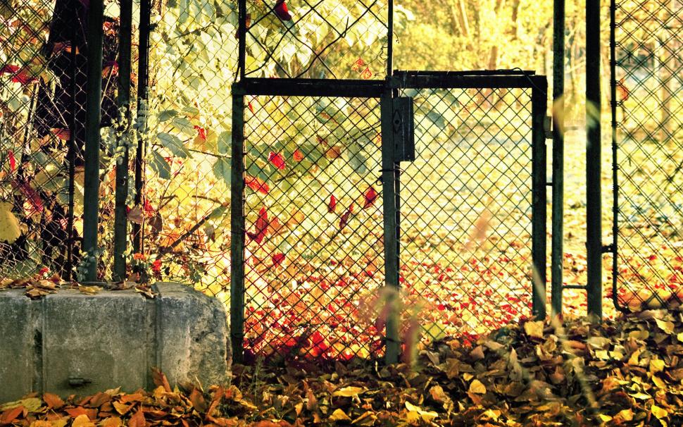 Autumn Leaves fence gate wallpaper,Autumn HD wallpaper,Leaves HD wallpaper,Fence HD wallpaper,Gate HD wallpaper,2560x1600 wallpaper