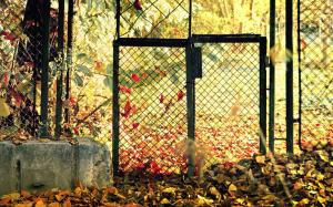 Autumn Leaves fence gate wallpaper thumb