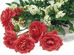 Romantic Red Roses wallpaper thumb