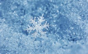 Ice, Winter, Macro, Snowflake wallpaper thumb