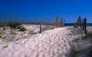 Tilt-Shift Beach Sand Fence HD wallpaper thumb