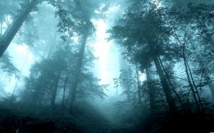 Mist In The Forest wallpaper thumb