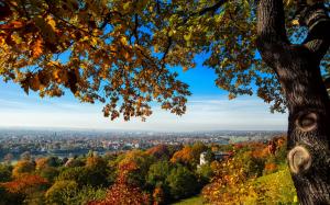 Dresden, Germany, hill, trees, autumn wallpaper thumb