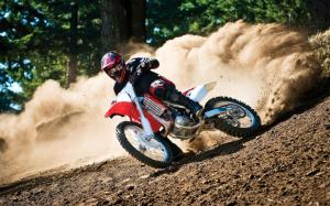 Moto Race in Forest wallpaper thumb