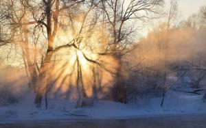 Winter, morning, sunrise, sun rays, fog, trees, snow wallpaper thumb