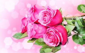 Bouquets flowers, pink roses wallpaper thumb
