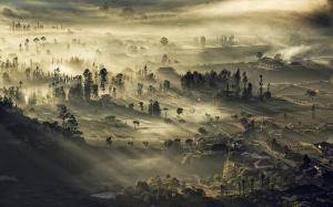 Nature, Landscape, Sunrise, Mist, Indonesia, Valley, Village, Field, Trees wallpaper thumb