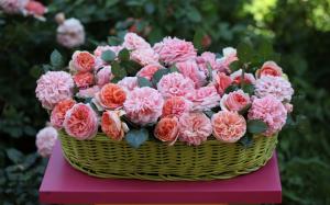 Basket, pink flowers, rose wallpaper thumb