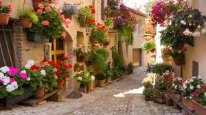 city, beautiful streets, street, flowers, greece wallpaper thumb