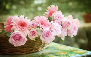 Pink rose, gerbera daisies, basket wallpaper thumb