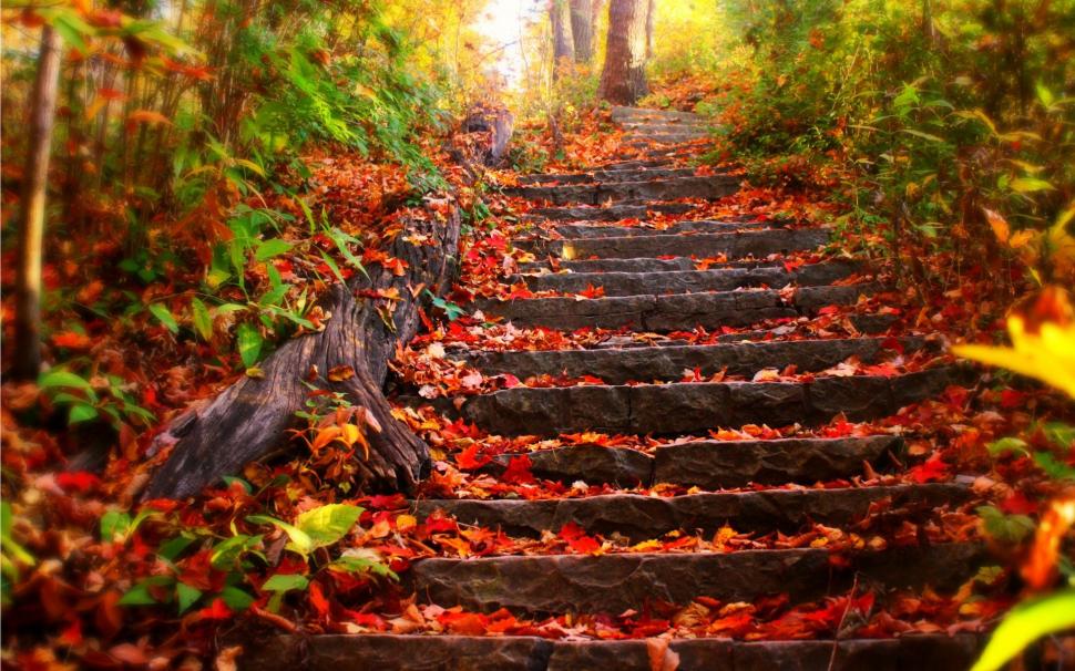 Stairs Staircase Autumn HD wallpaper,nature HD wallpaper,autumn HD wallpaper,stairs HD wallpaper,staircase HD wallpaper,1920x1200 wallpaper