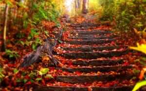 Stairs Staircase Autumn HD wallpaper thumb