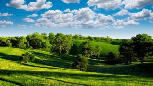 Green valley, nature scenery, blue sky, white clouds, trees, grasslands, sun wallpaper thumb