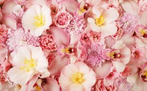 Beautiful Pink Flowers wallpaper thumb