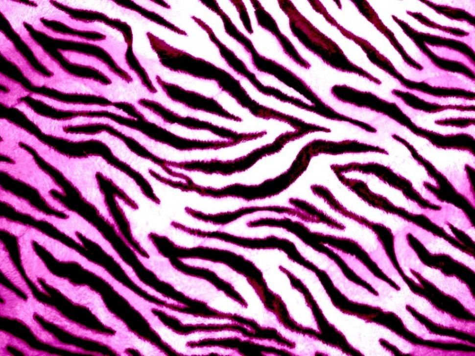 Animals, Zebra, Skin, Abstract, Lines, Digital Art wallpaper,animals wallpaper,zebra wallpaper,skin wallpaper,abstract wallpaper,lines wallpaper,digital art wallpaper,1024x768 wallpaper
