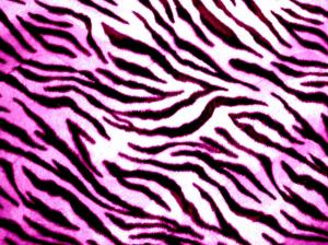 Animals, Zebra, Skin, Abstract, Lines, Digital Art wallpaper thumb