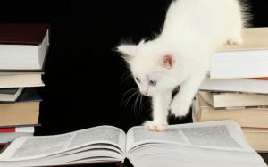 White kitten on the book wallpaper thumb