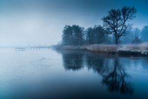 trees, water, blue, nature, fog, The lake wallpaper thumb