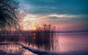 Twilight beautiful landscape, quiet lake, reed, sunset wallpaper thumb