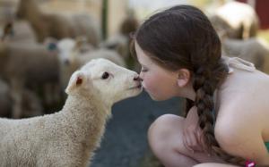 Cute little girl, sheep, friendship wallpaper thumb