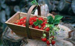 Basket Strawberries wallpaper thumb
