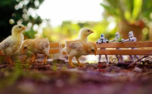 Chickens Star Wars Toys wallpaper thumb